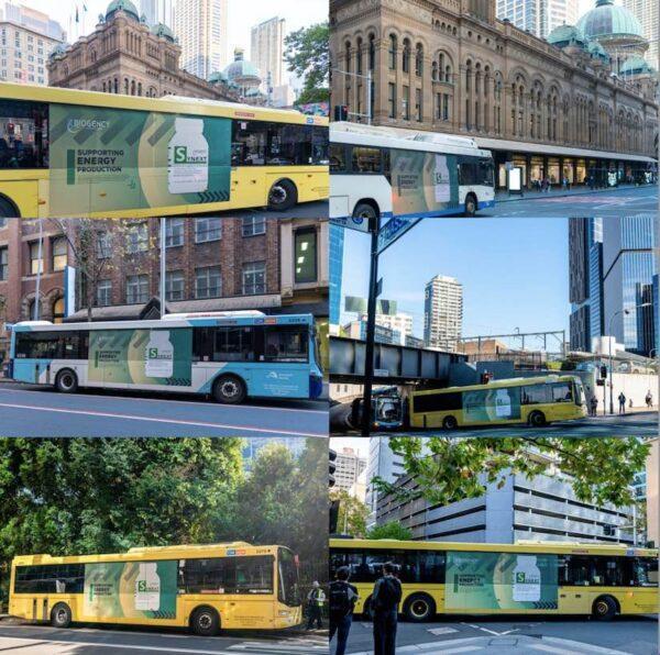 Biogency Beauty Skin